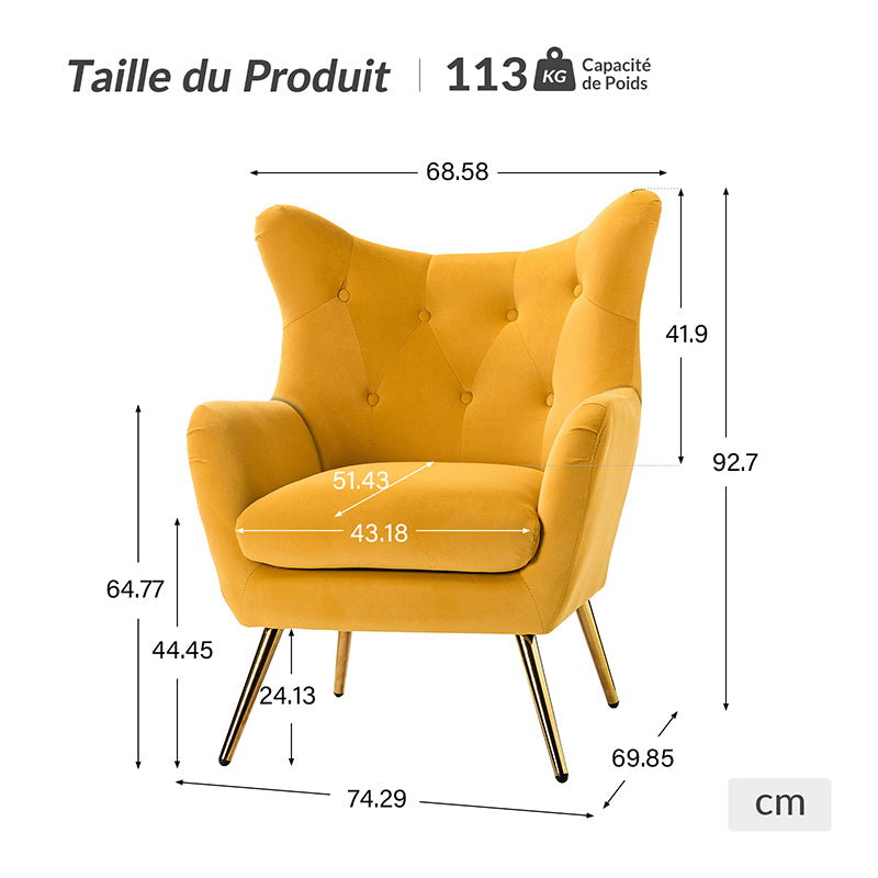 Fauteuil Isabelle Wingback en velours avec confort rembourré et pieds en métal doré élégants